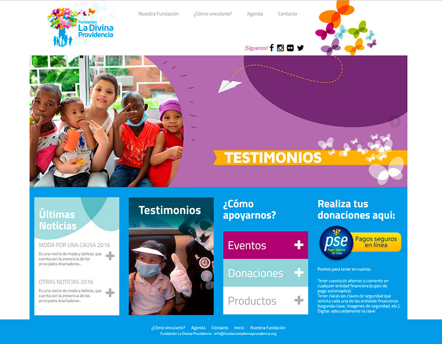 Fundación La Divina Providencia, Web Design